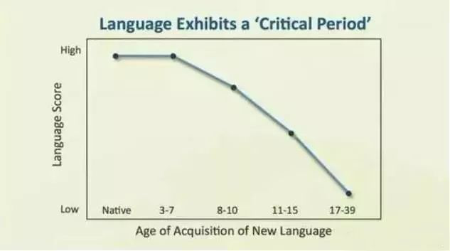关于第二语言学习