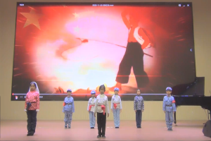 《王二小的故事》